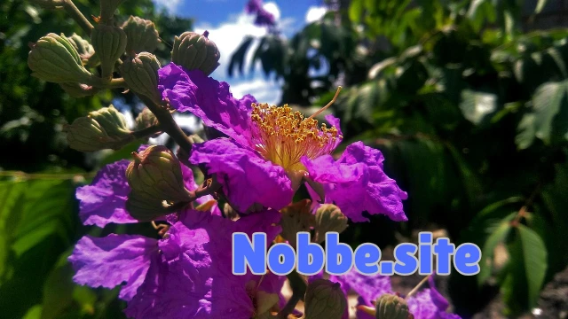 What Impact Does Organic Living Have on the Environment?