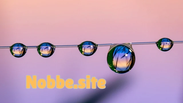 How Can You Make Your Home More Organic and Chemical-Free?