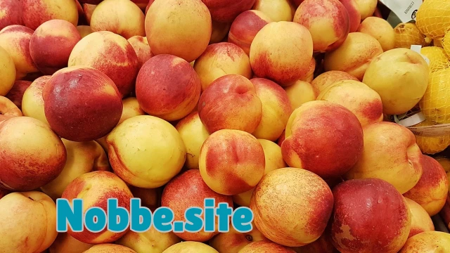 How Is the Organic Food Industry Growing Globally?