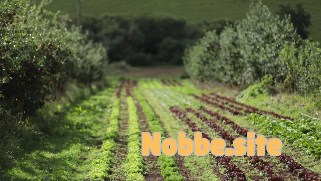 How Are Organic Crops Grown Naturally?