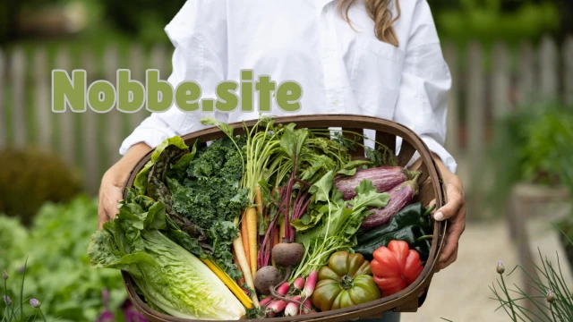 What Are Organic Seeds and Why Are They Important?