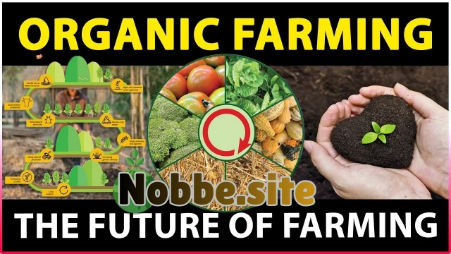 What Is Organic Pest Control and How Does It Work?