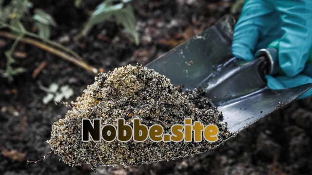 How Does Organic Farming Work in Practice?