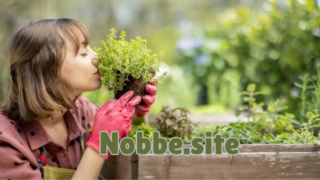 What Is Organic Gardening and How Can You Start?