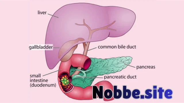 How Does an Organic Diet Affect Body Weight?