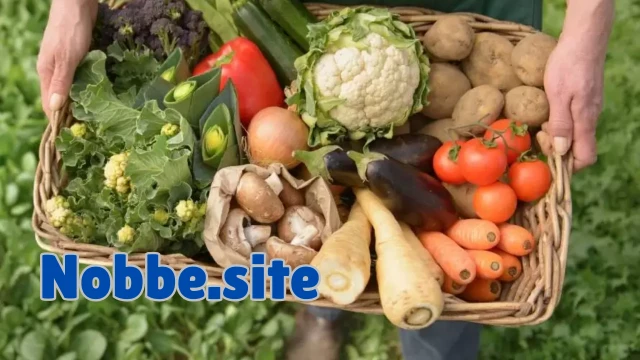 What Is Organic Food and How Is It Produced?