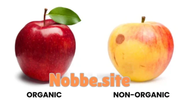What Is the Difference Between Organic and Non-Organic Food?