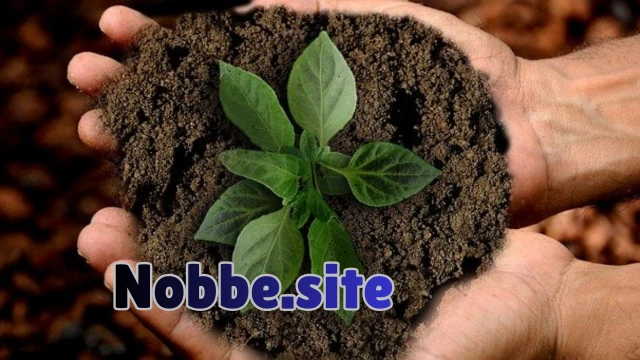 What Is Organic Farming? A Simple Explanation