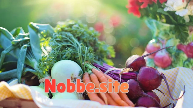 Why Is Organic Food Considered Important?