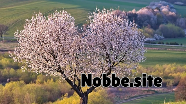 Is Organic Living a Trend or a Necessity?