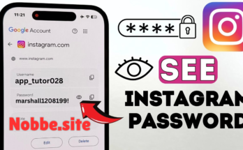 How to Recover a Hacked Instagram Account (Step-by-Step)